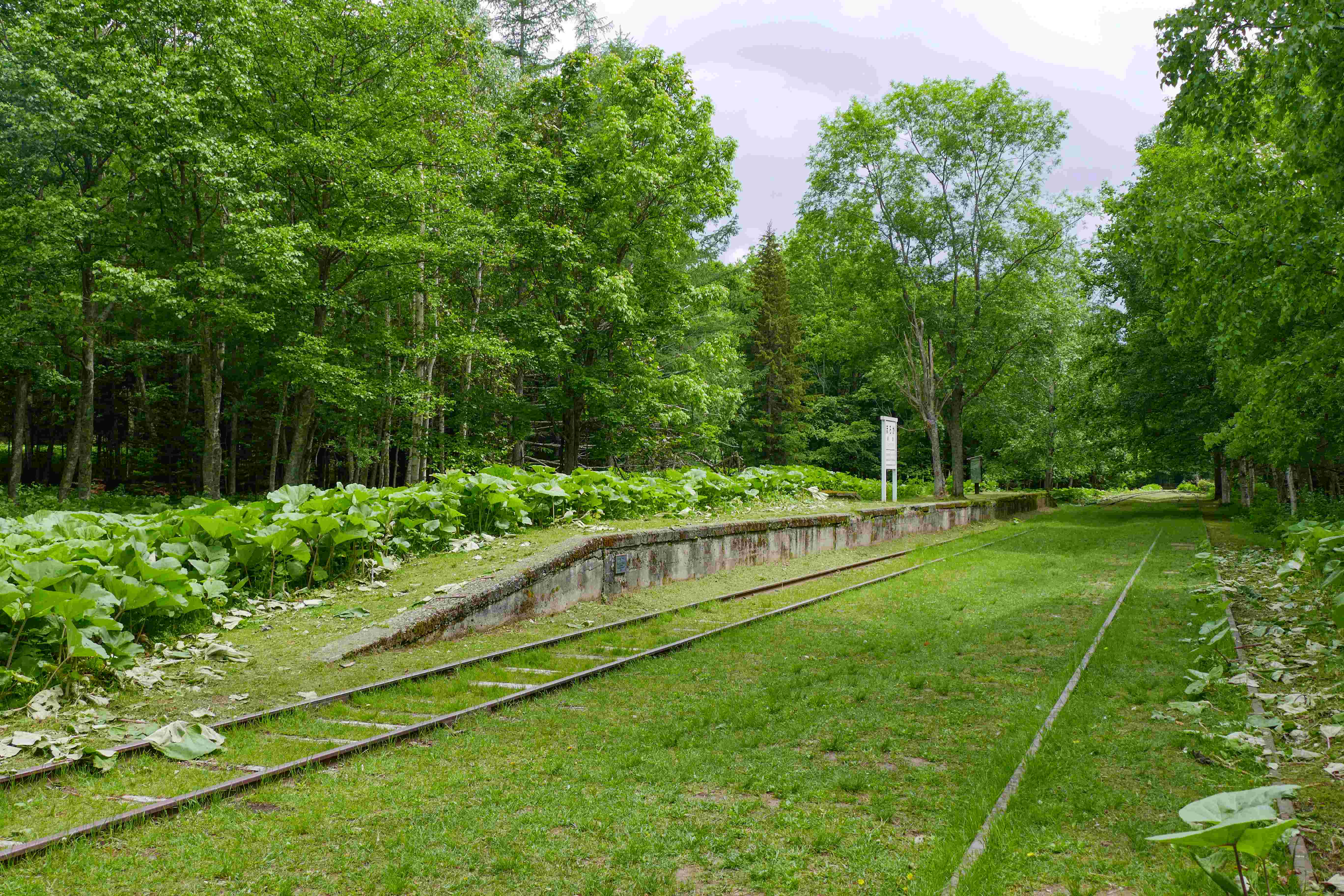 🚂 시호로선 호로카역 유적 (시호로센 호로카에키아토) 이미지 6